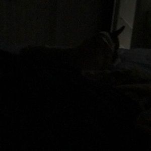 Meet your Posher, Sumair